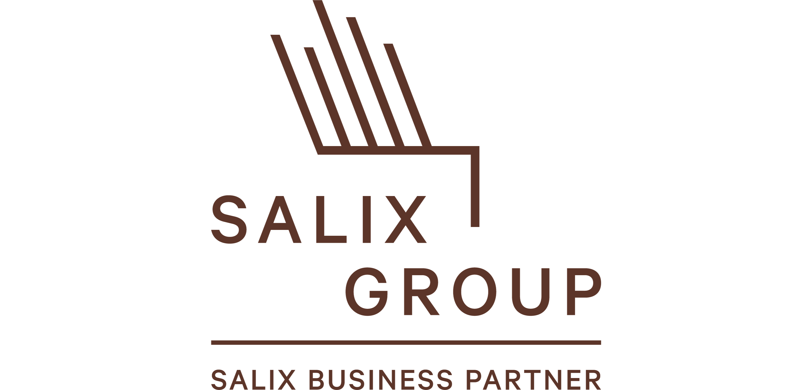 Salix Business Partner